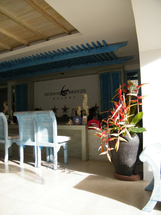 Rezeption Ocean Breeze Resort