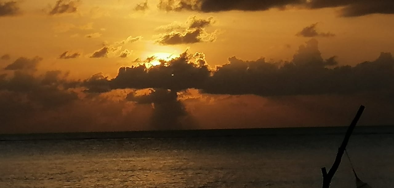 Ausblick Summer Island Maldives