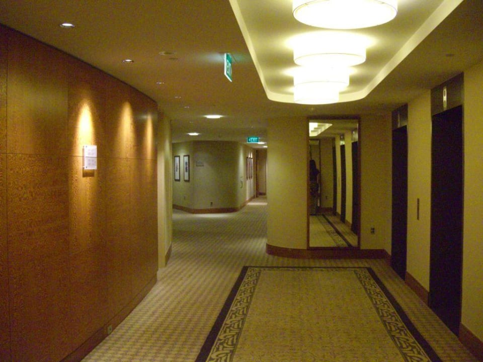 Flur Hotel Sofitel Wentworth