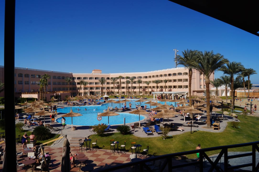 Poolansicht Beach Albatros Resort