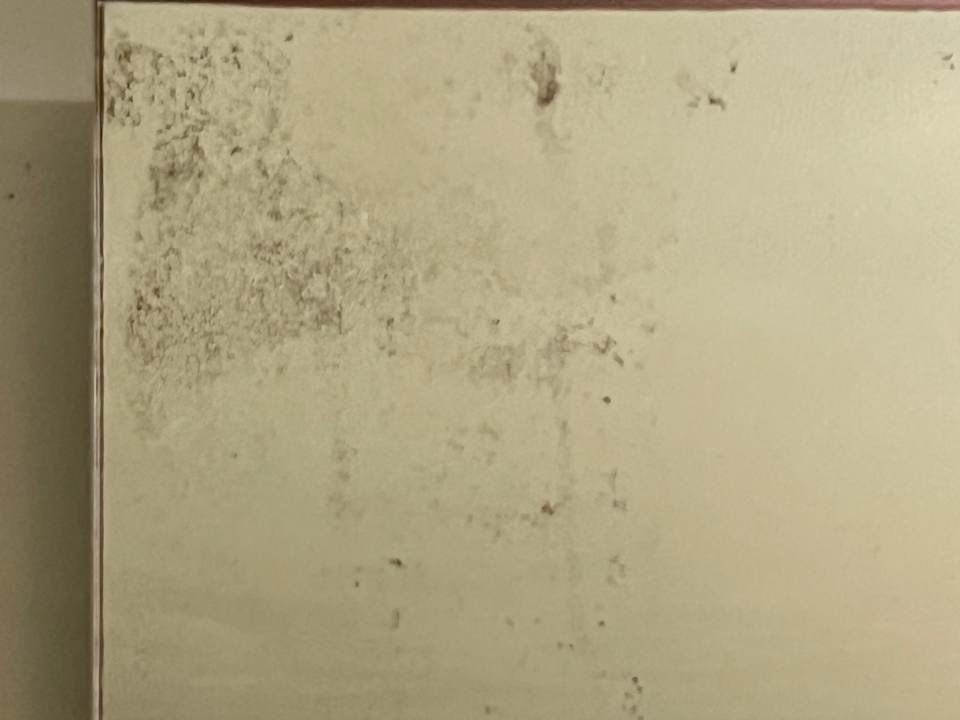 Zimmer H10 Ocean Suites