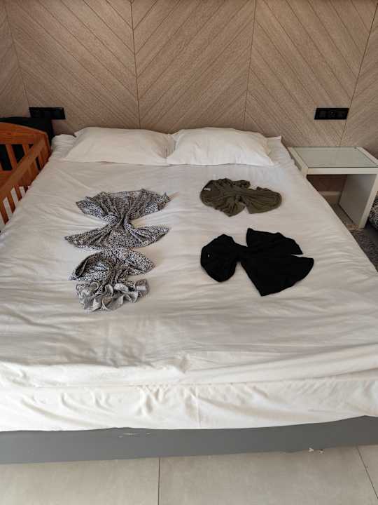 Zimmer Calimera Delfino Beach Resort & Spa