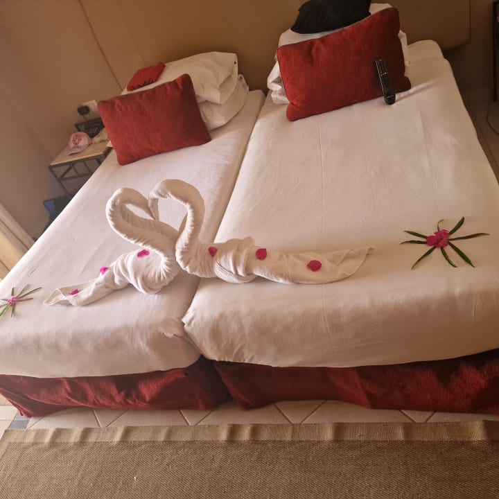 Zimmer Jaz Makadi Oasis Resort