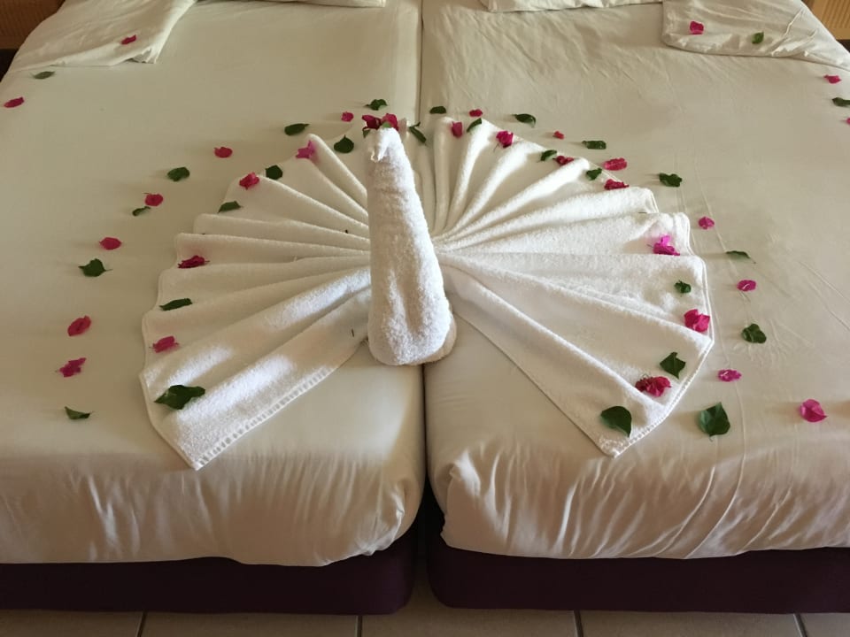 Zimmer Hotel JAZ Makadi Star & Spa