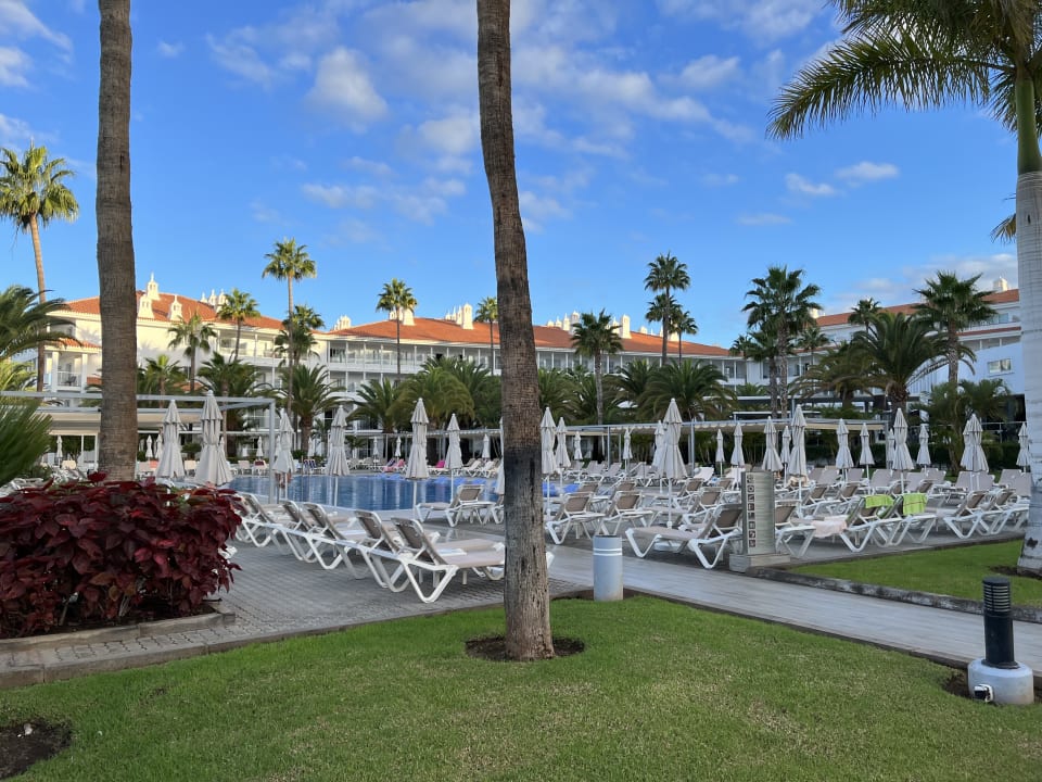 Pool Hotel Riu Arecas - Adults only