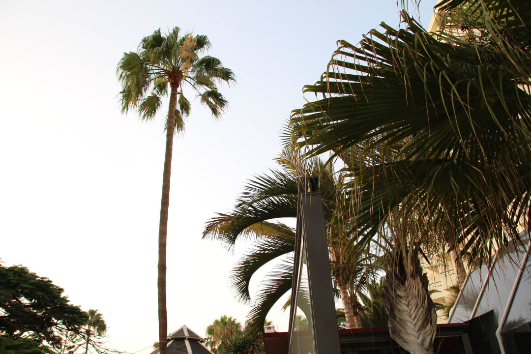 Hôtel H10 Las Palmeras - La Vue 2015 H10 Las Palmeras