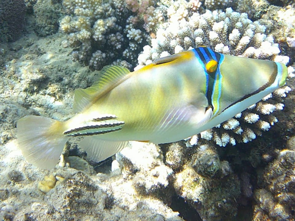 Sport & Freizeit Grand Waterworld Makadi & Family Star Makadi