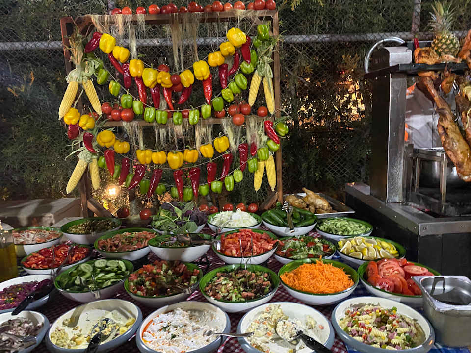 Gastro Adalya Elite Lara