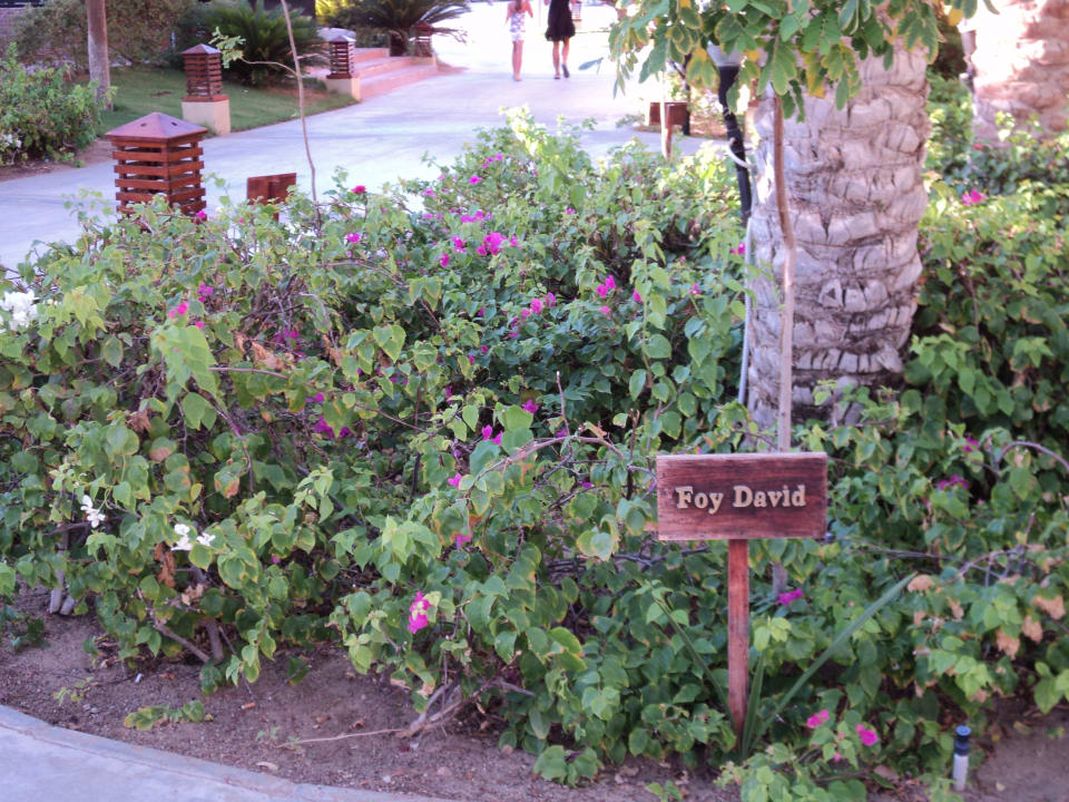 Hotel Stella Makadi Gardens Stella Garden Resort & Spa, Makadi Bay