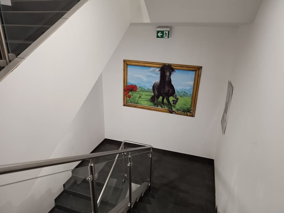 Ausblick Black Horse