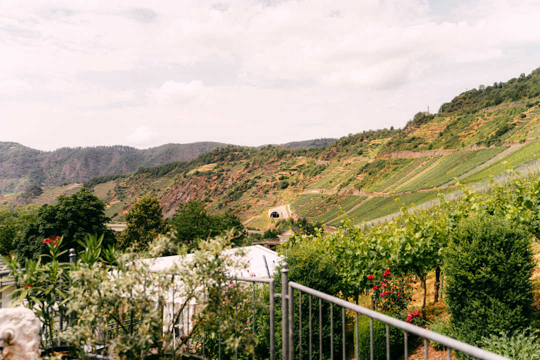 Ausblick Weingut Zecherhof