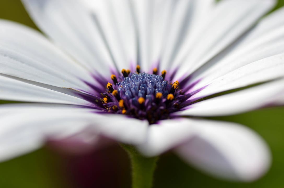 Gartenimpressionen Hotel Finca Can Paulino