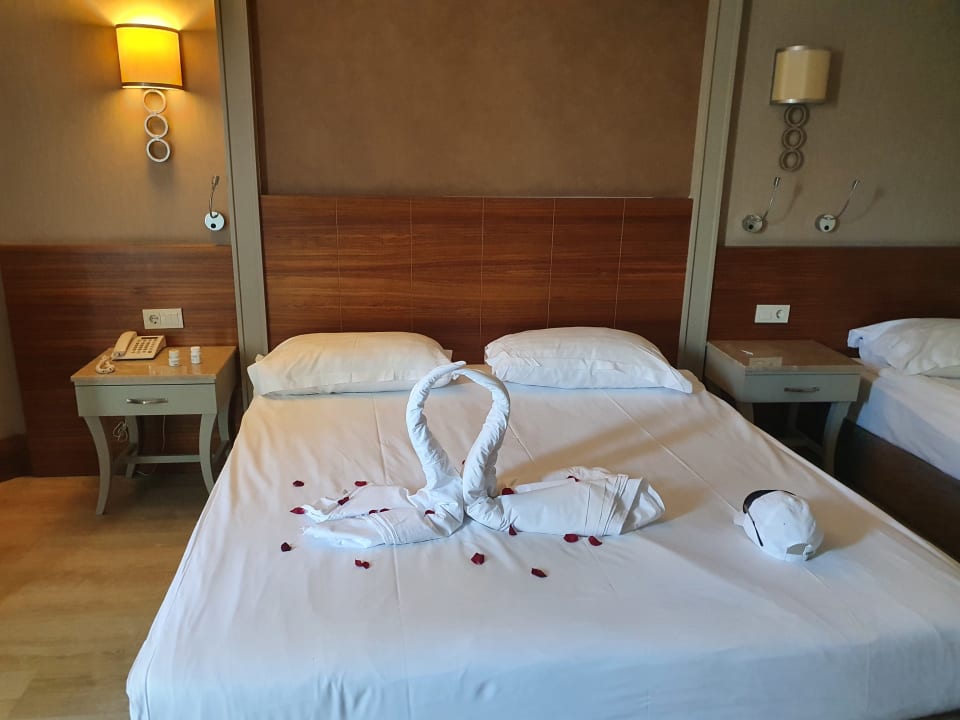 Zimmer Well Palace Side