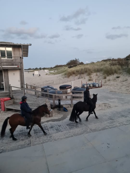 Strand Roompot Camping De Zandput