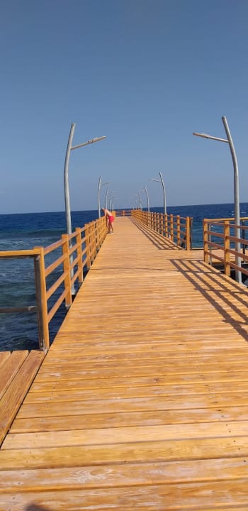 Ausblick Malikia Resort Abu Dabbab