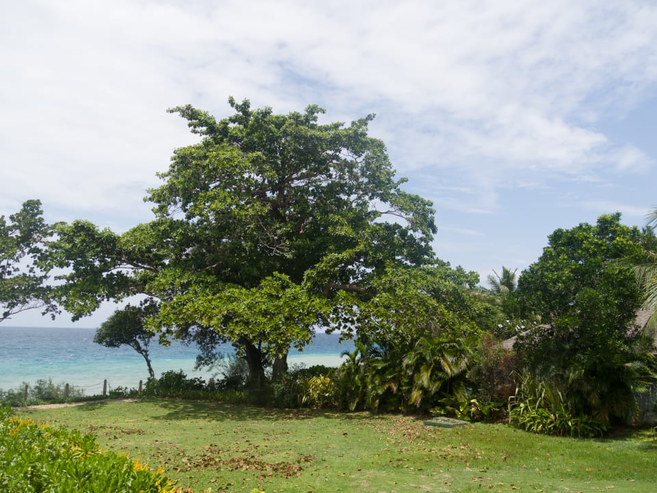 Gartenanlage Hotel Amorita Resort