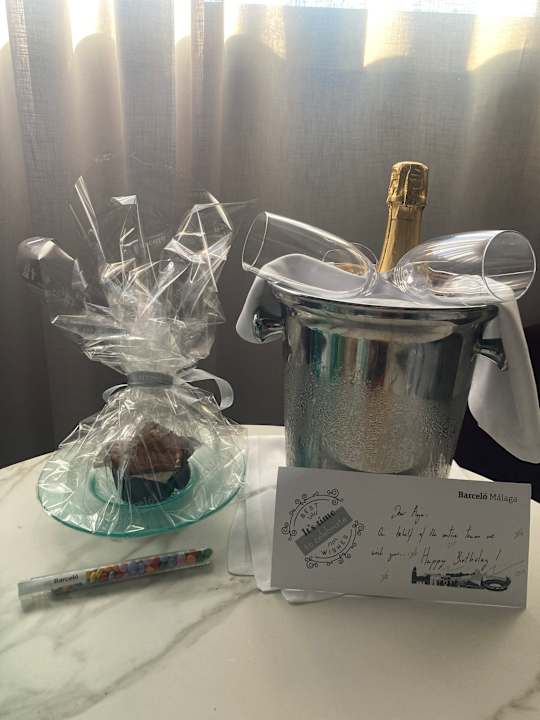 Sonstiges Barceló Málaga