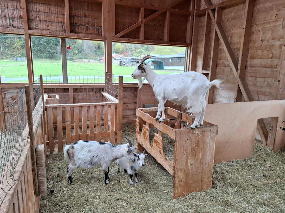 Sonstiges Kinderhotel Felben