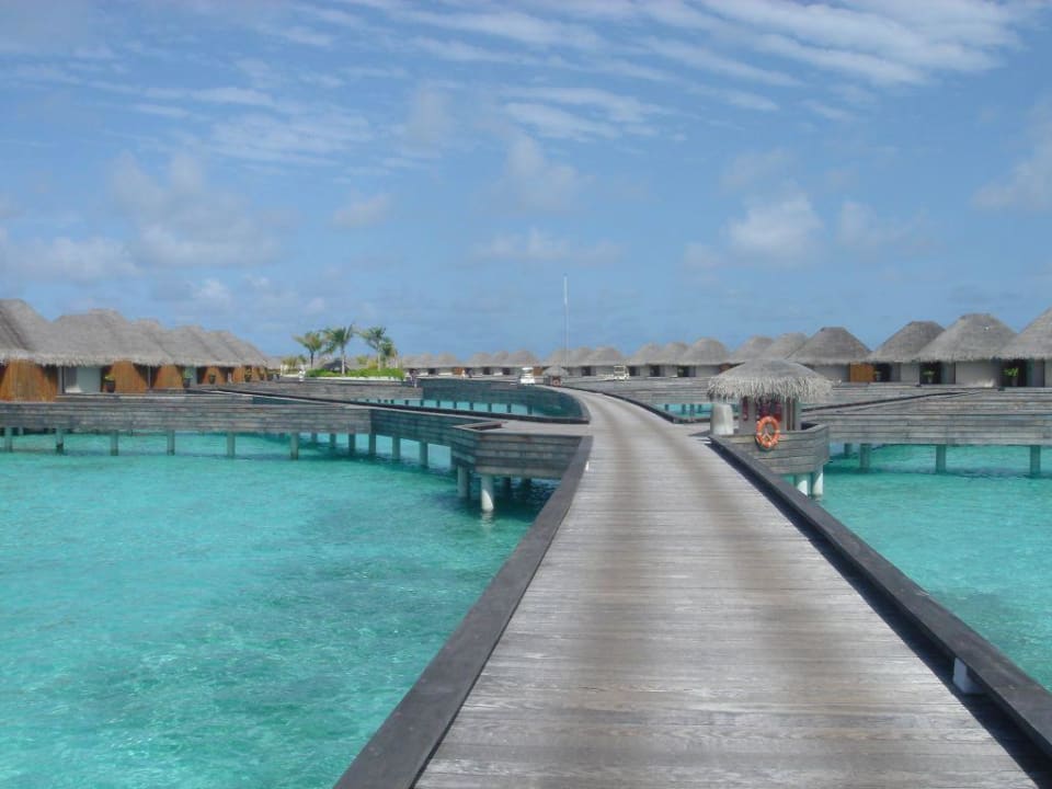 Ocean Oasis (Wasservilla) W Maldives