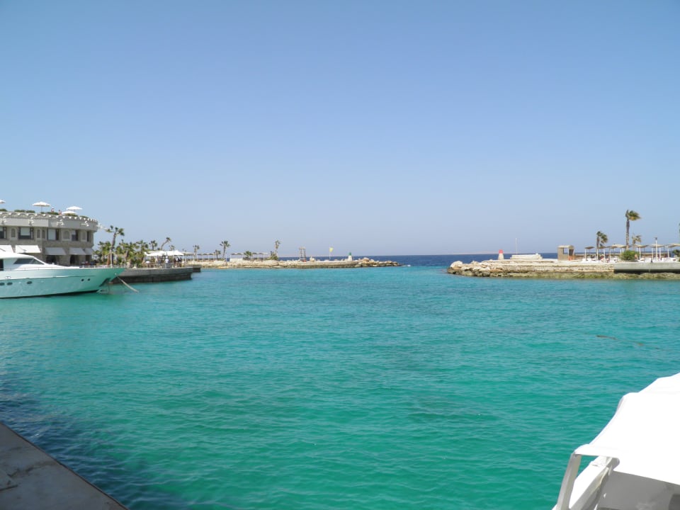 Hier kann man ins Wasser - aber? Pickalbatros Citadel Resort
