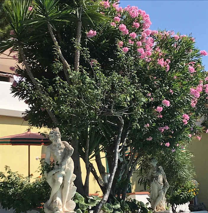 Gartenanlage Hotel Villa Hibiscus