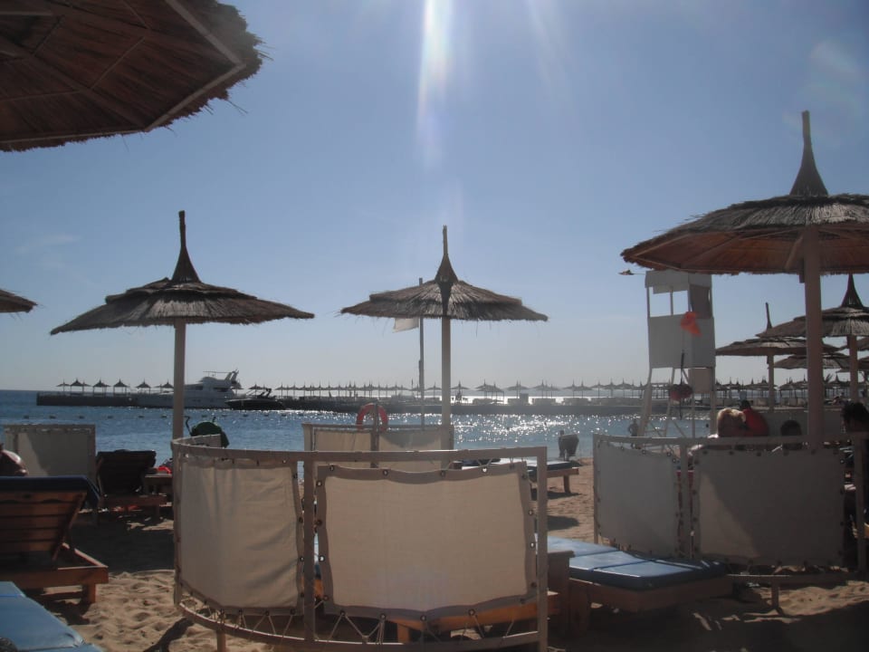 Beach Beach Albatros Resort