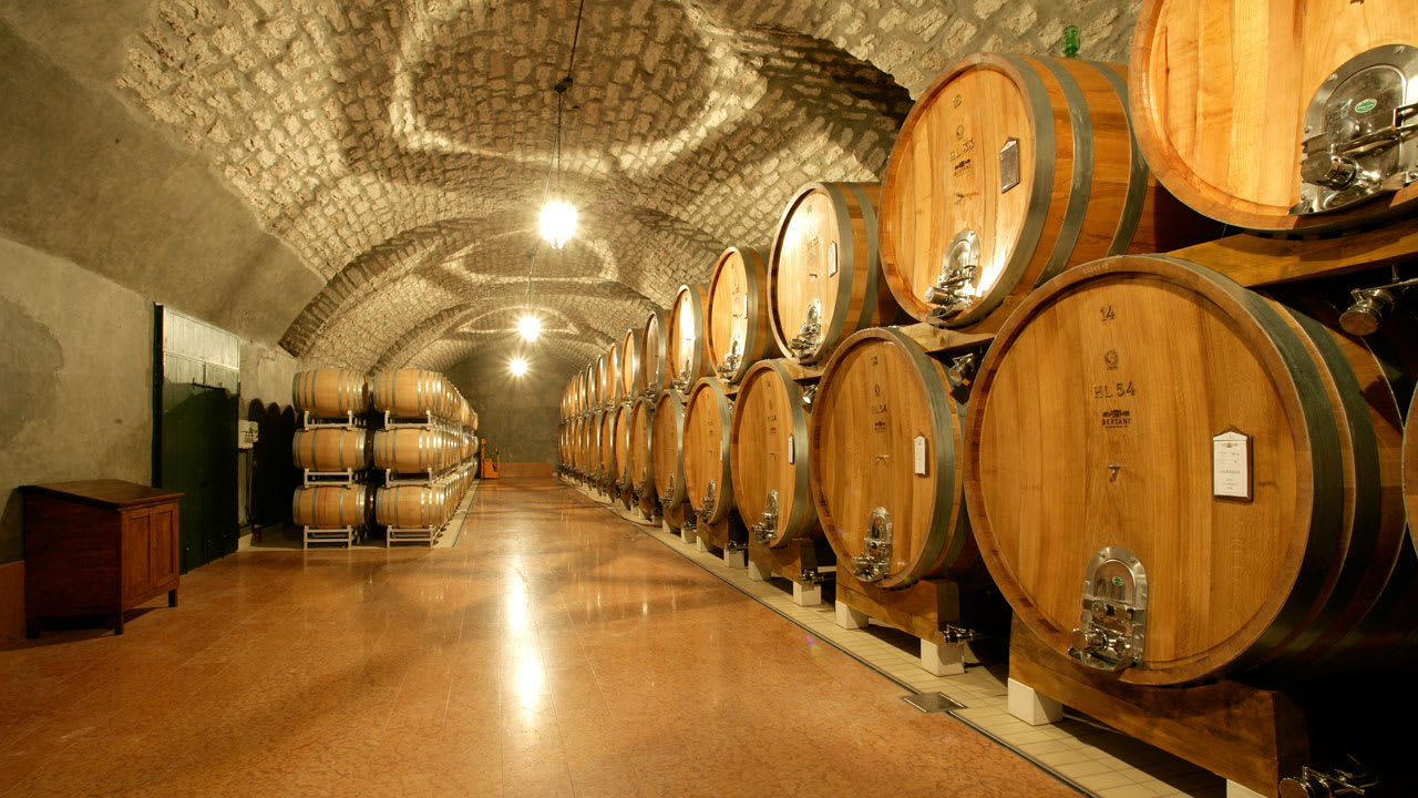 Вино в дубовых бочках. Бурбон бочки. Дубовые бочки для виски. Выдержка вина в дубовых. Музей вина в боне.