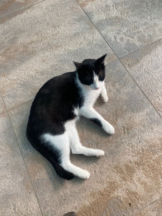 Sonstiges Side Star Elegance