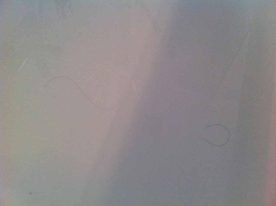 Schmutz! Hotel Ambassadeur