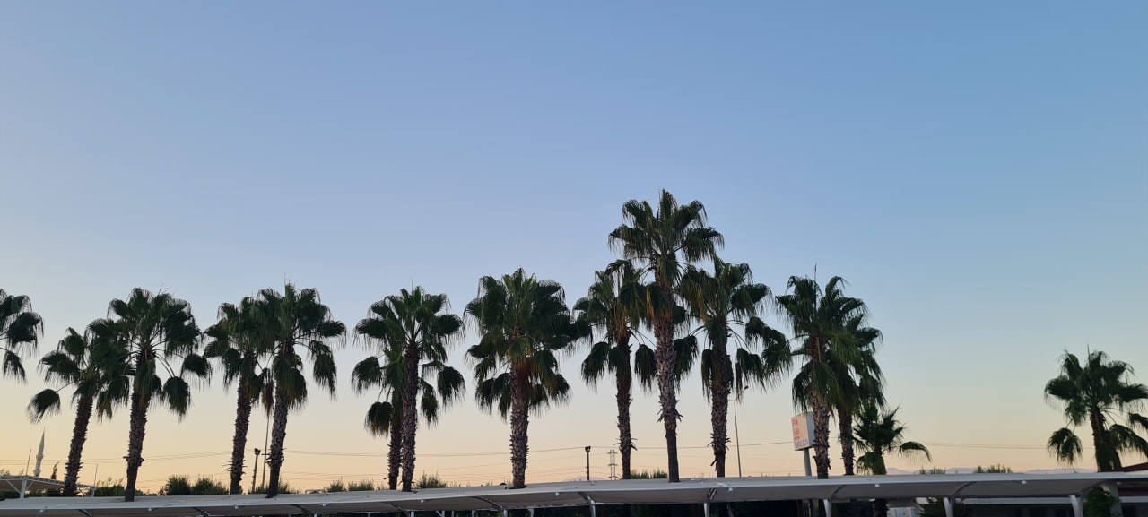 Außenansicht FUN&SUN Smart Hane Sun Hotel