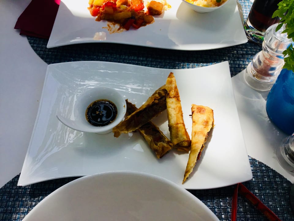 Gastro Acanthus Cennet Barut Collection