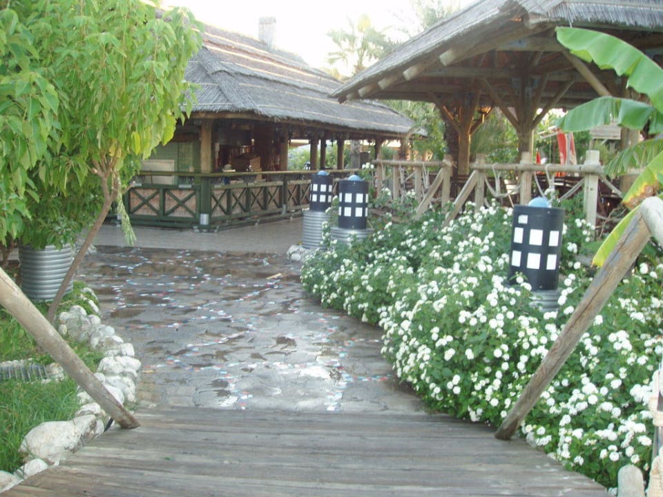 Poolbar AQI Pegasos World