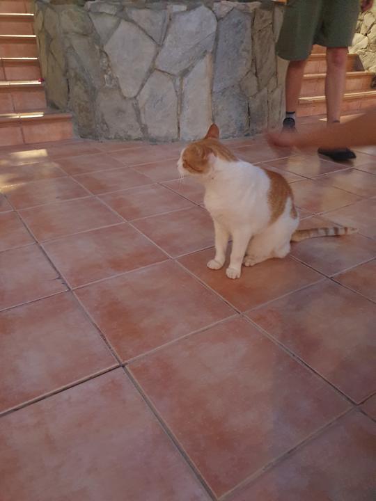 Sonstiges Club Hotel Drago Park