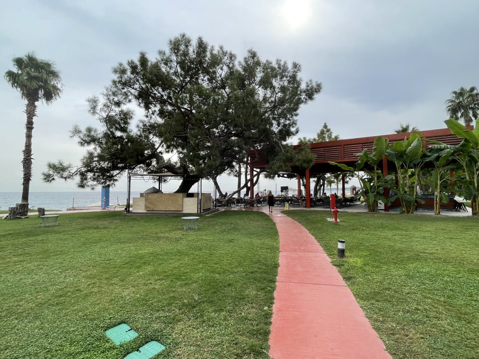 Gartenanlage TUI MAGIC LIFE Beldibi +16