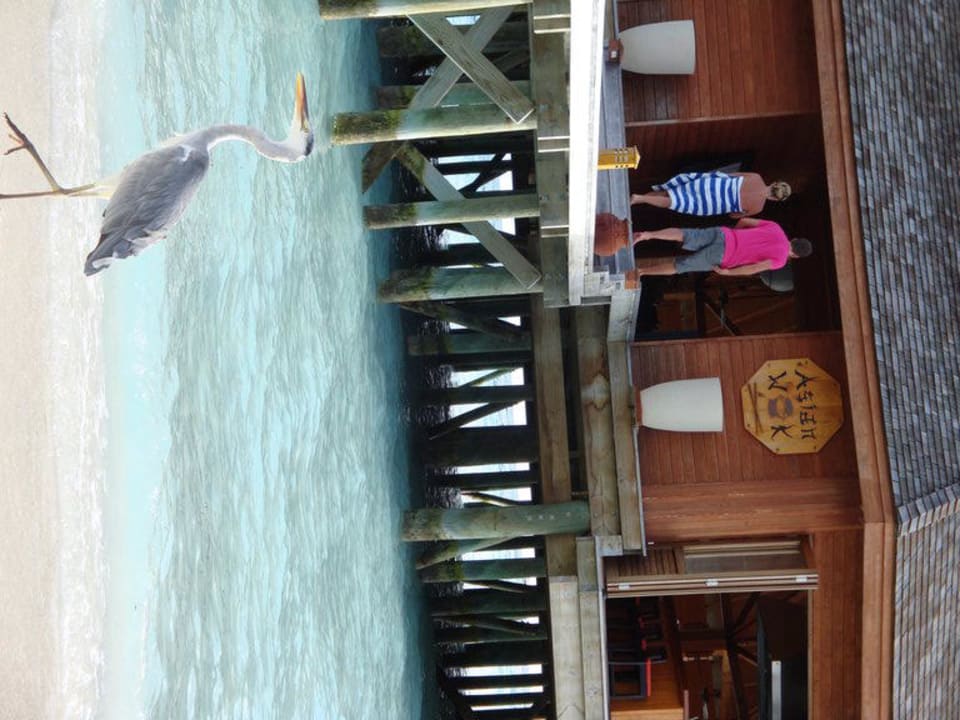 Hotel Meeru Island Resort Meeru Maldives Resort Island