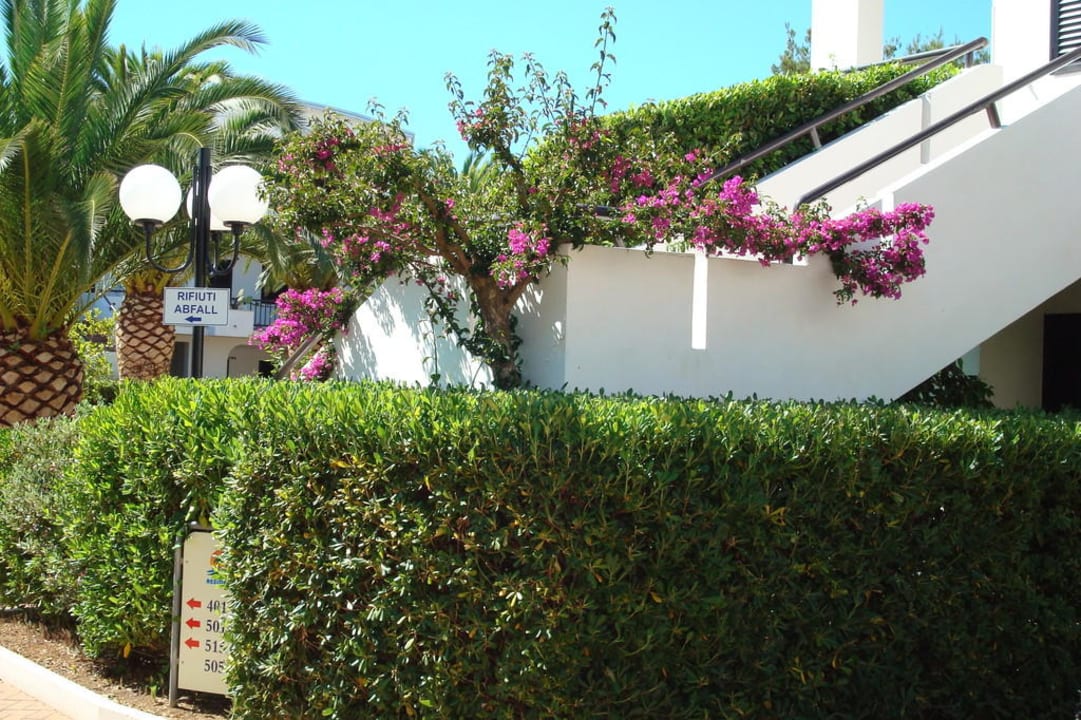 Gartenanlage Oasiclub Hotel