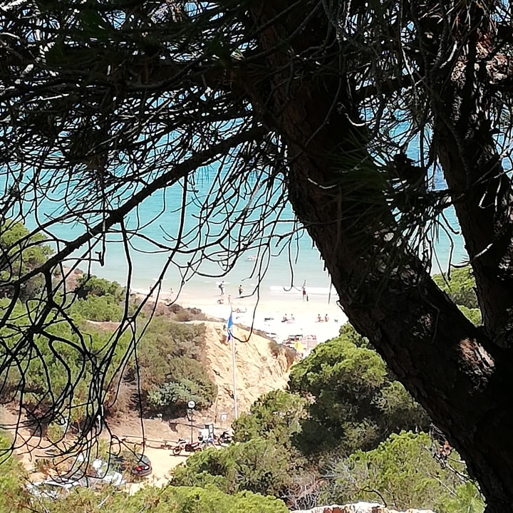 Ausblick PortoBay Falésia