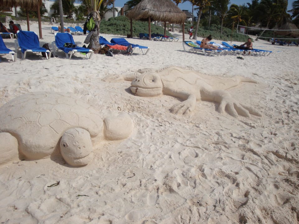 Kunstwerke am Strand Akumal Bay Beach & Wellness Resort