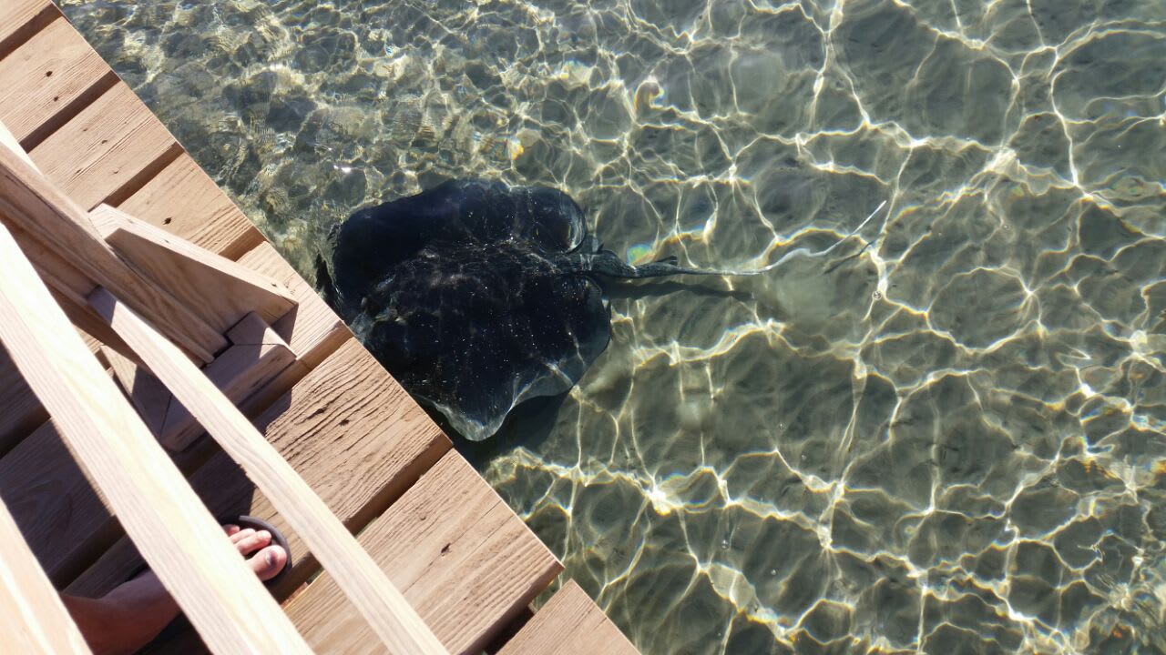 Strand Cleopatra Luxury Resort Makadi Bay