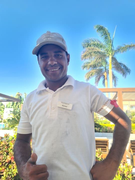 Pool Steigenberger Resort Ras Soma