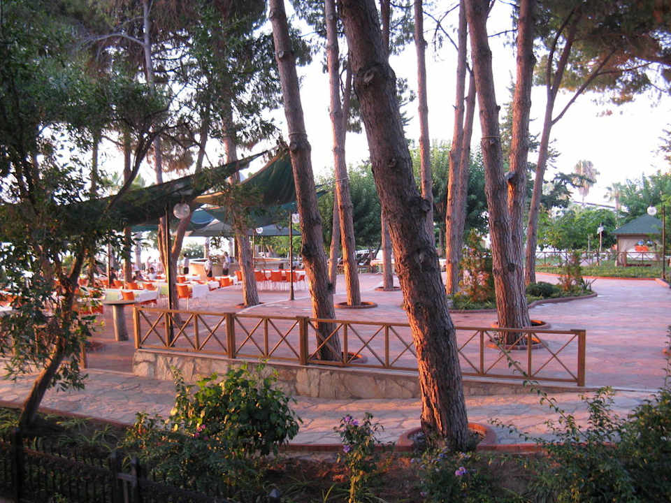 Fischrestaurant Lonicera Resort & Spa Hotel