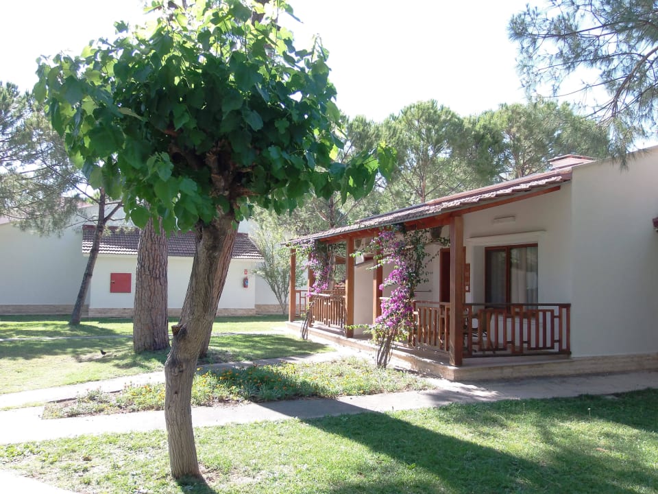 Gartenanlage nebst den Zimmern  Kustur Club Holiday Village