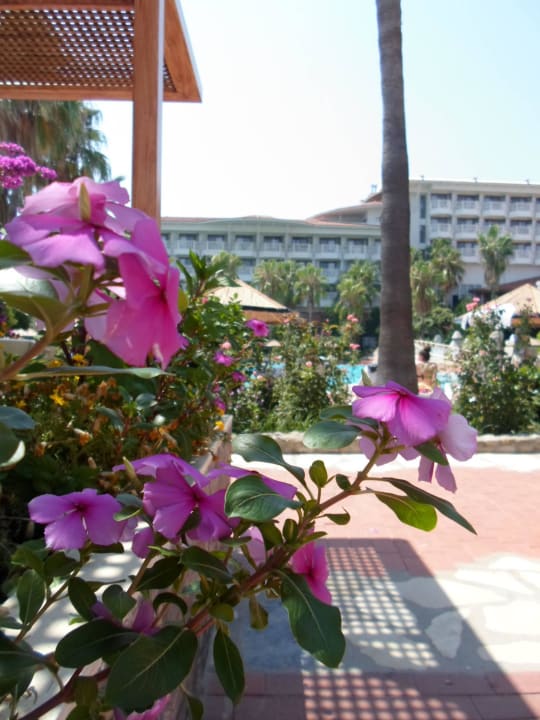 Pool Hotel Defne Garden