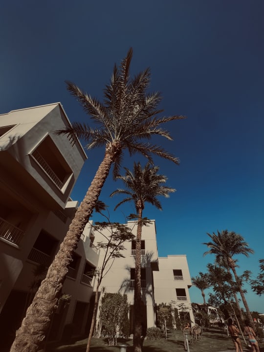 Gartenanlage Jaz Soma Beach