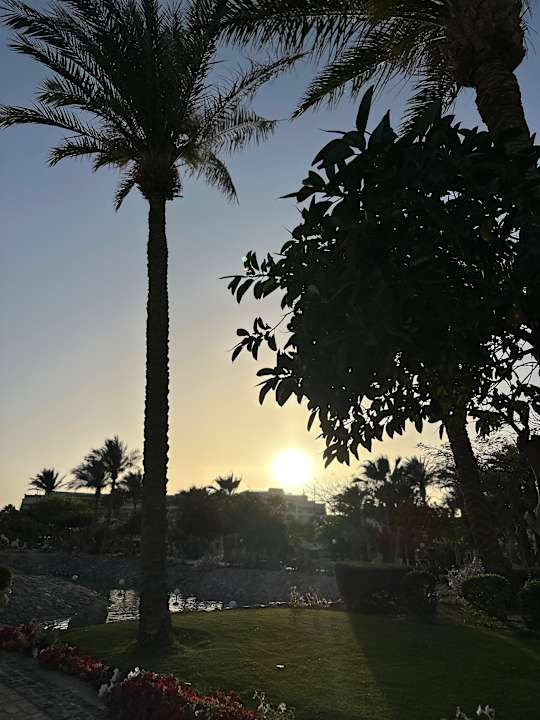 Strand Steigenberger Aqua Magic