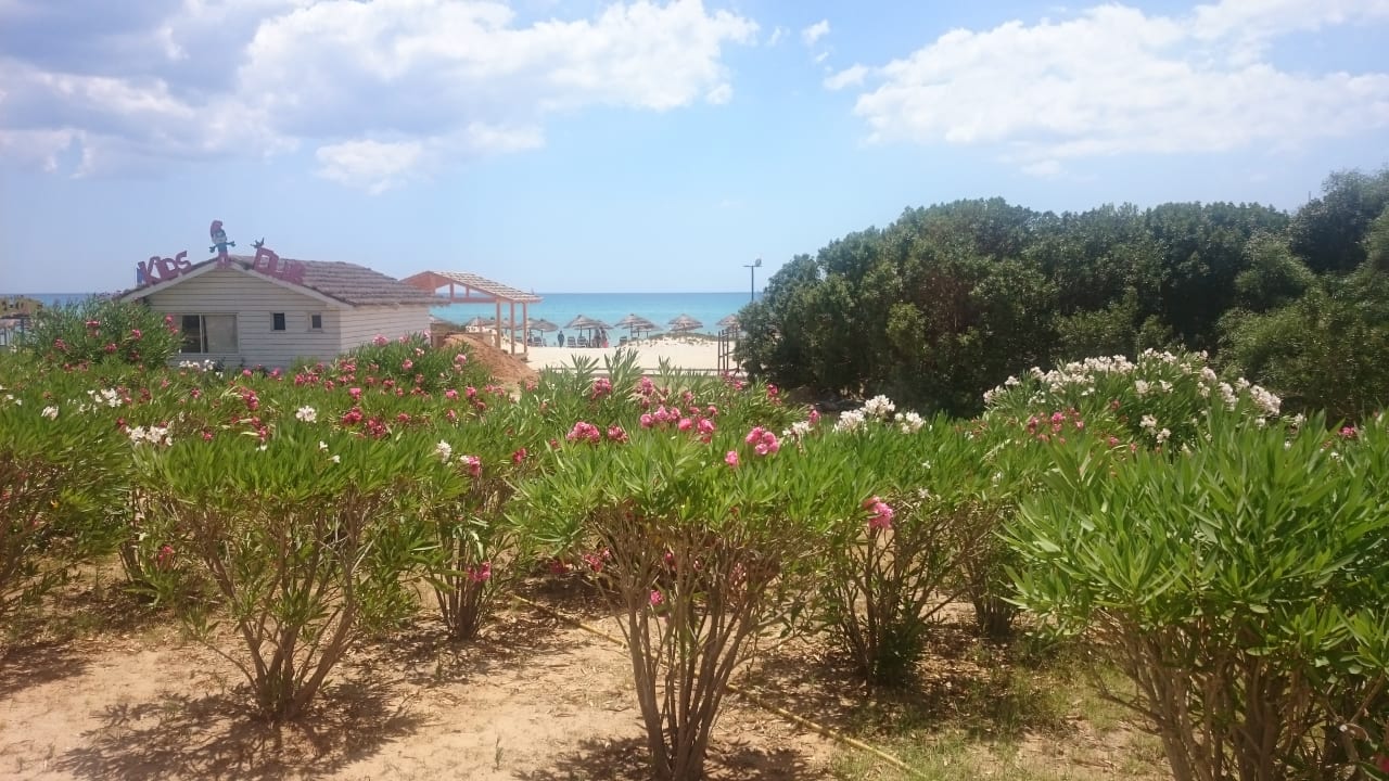 Gartenanlage Royal Tulip Taj Sultan