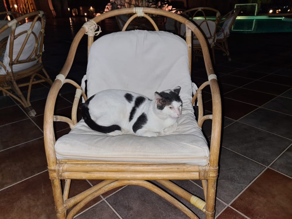 Sonstiges Shams Alam Beach Resort