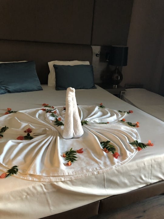 Zimmer Numa Bay Exclusive Hotel