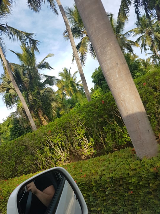 Außenansicht Grand Palladium Select Bávaro Resort & Spa