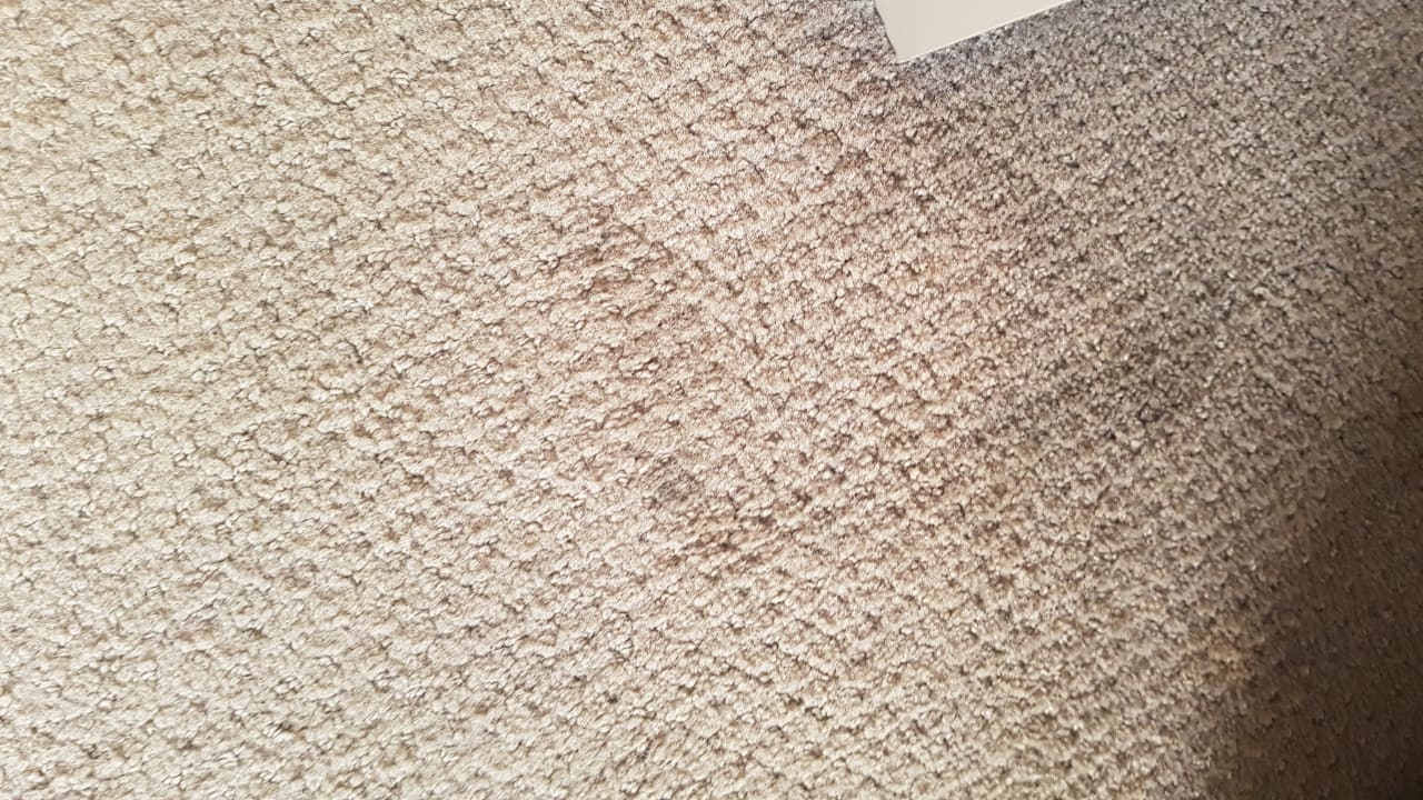 Zimmer Smart Hotel Holiday